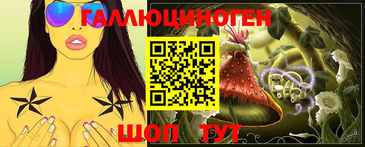 Борзя  Псилоцибиновые грибы GOLDEN TEACHER  Вход с VPN 