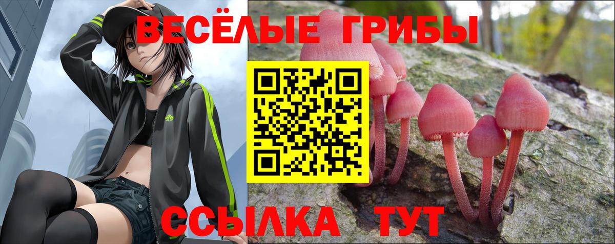Псилоцибиновые грибы Psilocybe Борзя
